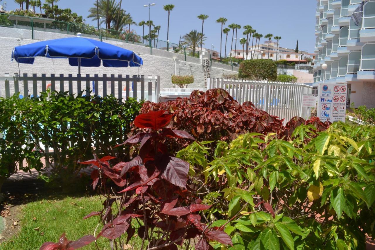 شقة بلايا ديل إنغلز  في Red Loft Deluxe - Vivienda Vacacional A Playa Del Ingles المظهر الخارجي الصورة